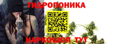 гидра Обь