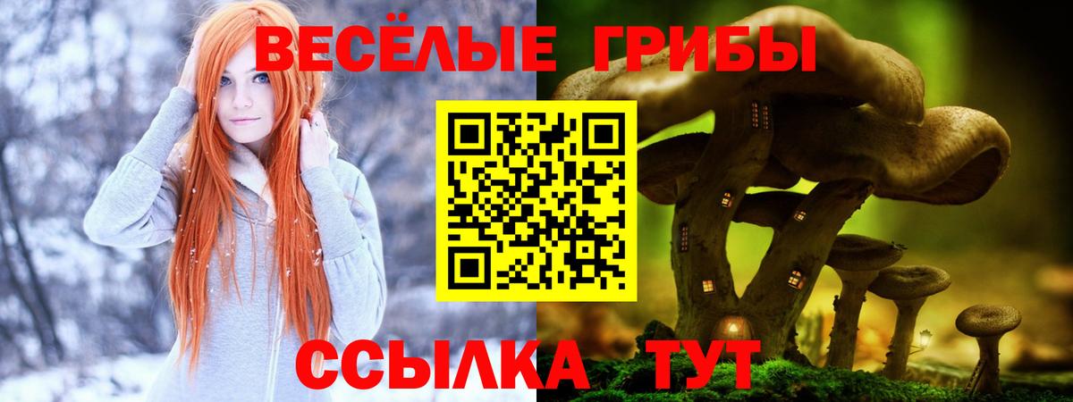 Сорочинск  закладка  Вход с VPN  Галлюциногенные грибы Magic Shrooms  Псилоцибиновые грибы Psilocybe 